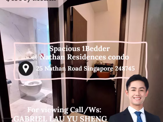 整套出租 • 兀兰 •  Nathan Residences • S$4000 • 住宅公寓 • 618ft² / 57m² 照片