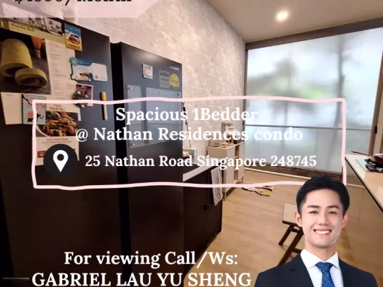 整套出租 • 兀兰 •  Nathan Residences • S$4000 • 住宅公寓 • 618ft² / 57m² 照片