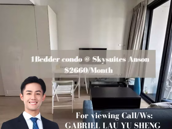 整套出租 • 淡滨尼 •  Skysuites @ Anson • S$2660 • 共管公寓 • 548ft² / 50m² 照片