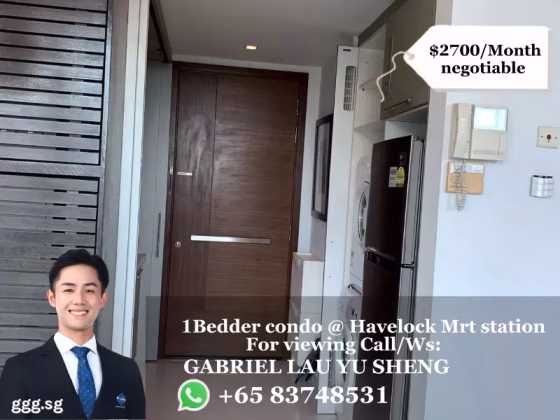 整套出租 • 西部群岛 •  Tribeca By The Waterfront • S$2700 • 共管公寓 • 527ft² / 48m² 照片