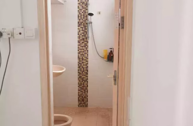 单间出租 • 中央集水区 • 239 Serangoon Avenue 2 • S$1350 • 4房(3臥室) • 主人房