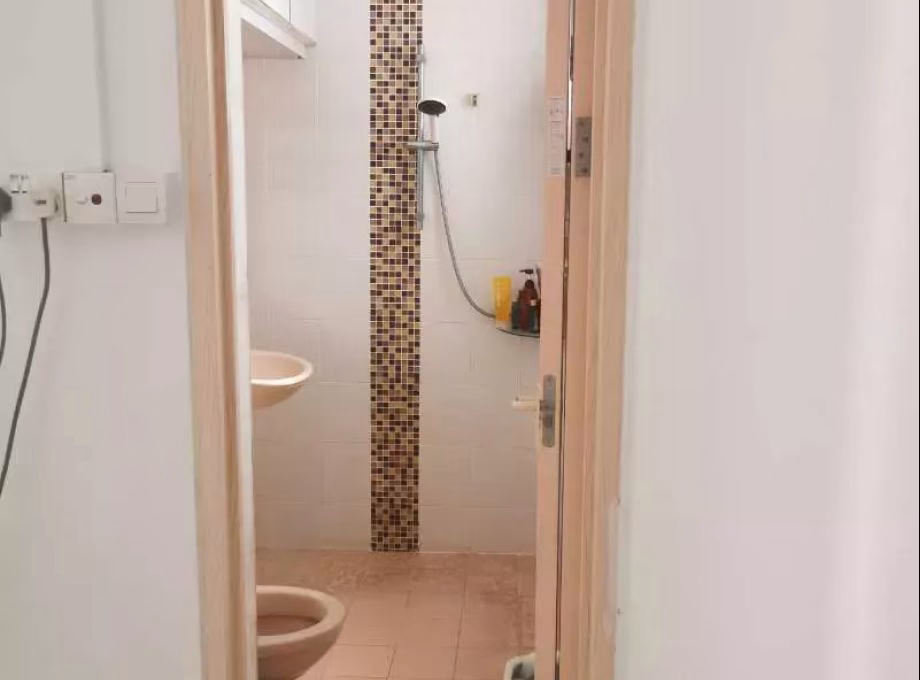 单间出租 • 中央集水区 • 239 Serangoon Avenue 2 • S$1350 • 4房(3臥室) • 主人房 照片