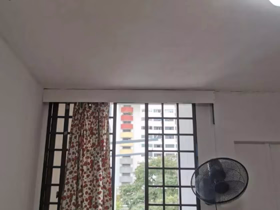 单间出租 • 中央集水区 • 239 Serangoon Avenue 2 • S$1350 • 4房(3臥室) • 主人房 照片