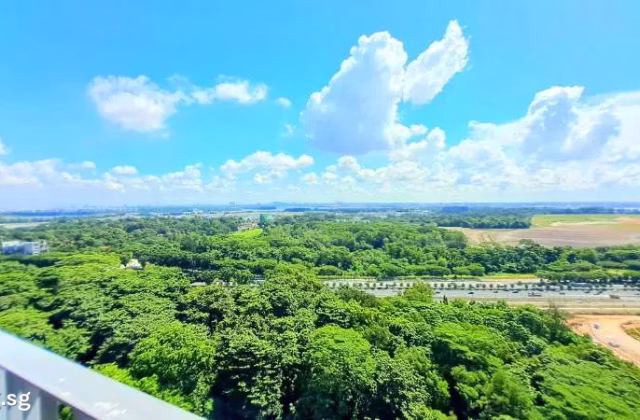 房屋出售 • 碧山 •  Parc Botannia • S$1790000 • 住宅公寓 • 1023ft² / 95m²