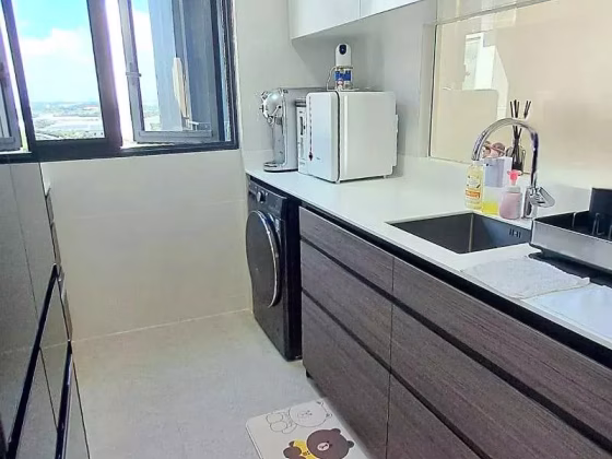 房屋出售 • 碧山 •  Parc Botannia • S$1790000 • 住宅公寓 • 1023ft² / 95m² 照片