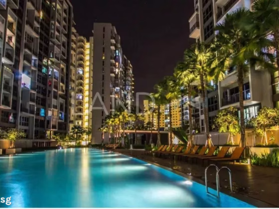 整套出租 • 樟宜 •  Prive • S$3690 • 住宅公寓 • 786ft² / 73m² 照片