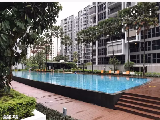 整套出租 • 樟宜 •  Prive • S$3690 • 住宅公寓 • 786ft² / 73m² 照片