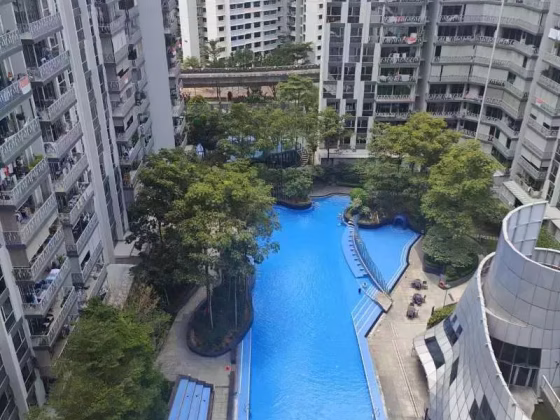 单间出租 • 樟宜 •  Flo Residence • S$1200 • 住宅公寓 • 普通房 照片