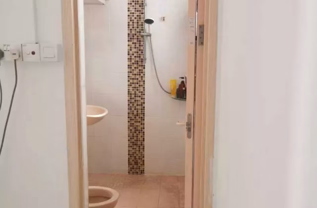 单间出租 • 中央集水区 • 239 Serangoon Avenue 2 • S$1350 • 4房(3臥室) • 主人房