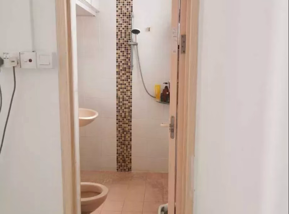 单间出租 • 中央集水区 • 239 Serangoon Avenue 2 • S$1350 • 4房(3臥室) • 主人房 照片