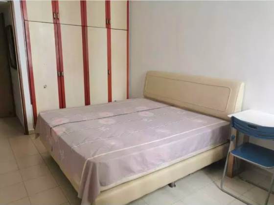 单间出租 • 中央集水区 • 239 Serangoon Avenue 2 • S$1350 • 4房(3臥室) • 主人房 照片