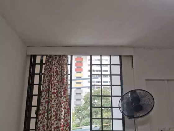 单间出租 • 中央集水区 • 239 Serangoon Avenue 2 • S$1350 • 4房(3臥室) • 主人房 照片