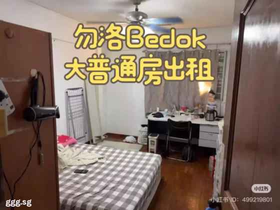 单间出租 • 武吉知马 • 408 Bedok North Avenue 2 • S$900 • 3房(2臥室) • 普通房 照片
