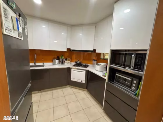 房屋出售 • 梧槽 •  Lilydale • S$1250000 • 共管公寓 • 1195ft² / 111m² 照片