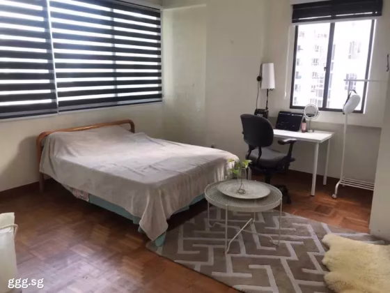 单间出租 • 纽顿 •  Rajah Towers • S$1500 • 住宅公寓 • 普通房 照片