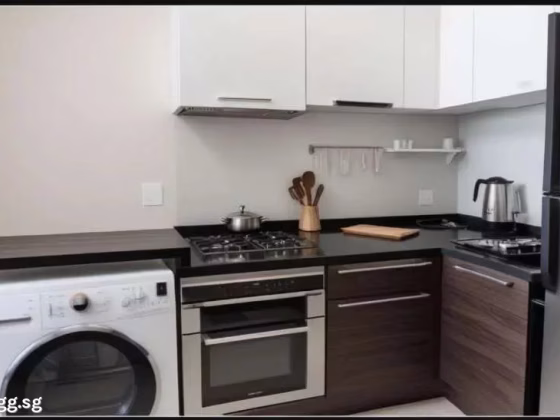 整套出租 • 勿洛 •  Aspen Heights • S$2900 • 共管公寓 •  照片