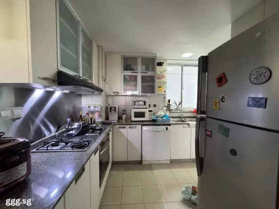 整套出租 • 武吉知马 •  Baywater • S$5400 • 共管公寓 • 1303ft² / 121m² 照片