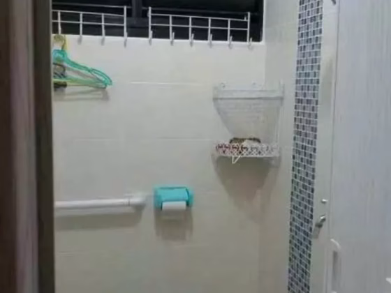单间出租 • 马林百列 • 117 Potong Pasir Avenue 1 • S$1200 • 3房(2臥室) • 普通房 照片