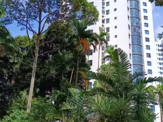 单间出租 • 巴耶利峇 •  Parc Oasis • S$1999 • 共管公寓 • 主人房 照片