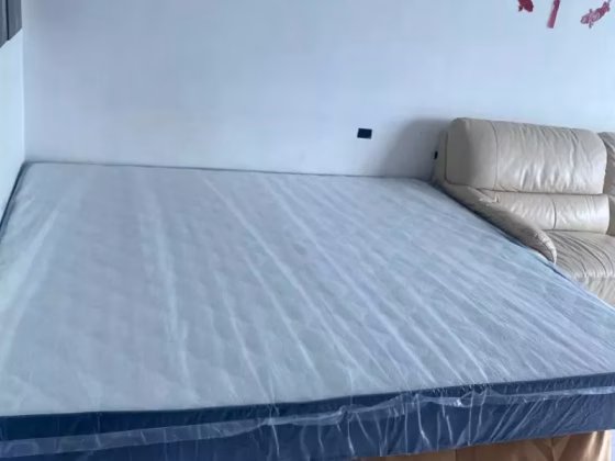 单间出租 • 樟宜 • 110C Punggol Field • S$950 • 执行组屋 • 普通房 照片
