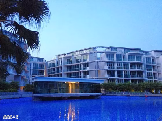单间出租 • 后港 •  Canberra Residences • S$800 • 共管公寓 • 普通房 照片