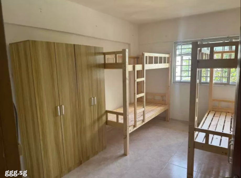 单间出租 • 乌节 • 113 Ang Mo Kio Avenue 4 • S$350 • 3房(2臥室) • 床位出租 照片