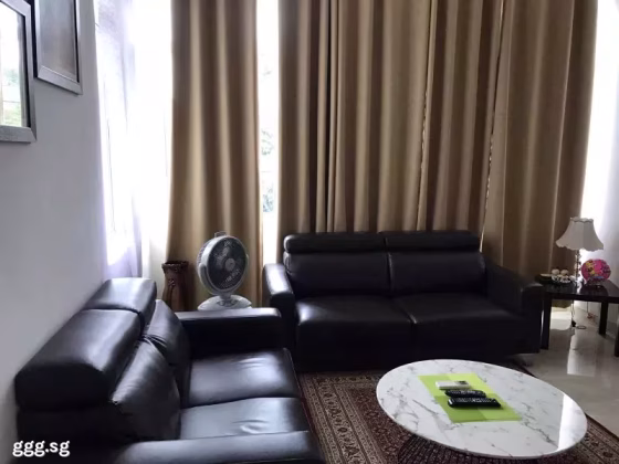整套出租 • 武吉知马 •  The Daffodil • S$3488 • 住宅公寓 • 732ft² / 68m² 照片