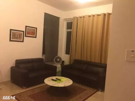 整套出租 • 武吉知马 •  The Daffodil • S$3488 • 住宅公寓 • 732ft² / 68m² 照片
