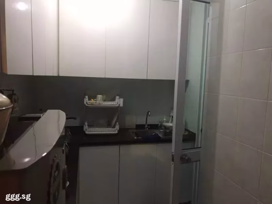 整套出租 • 武吉知马 •  The Daffodil • S$3488 • 住宅公寓 • 732ft² / 68m² 照片
