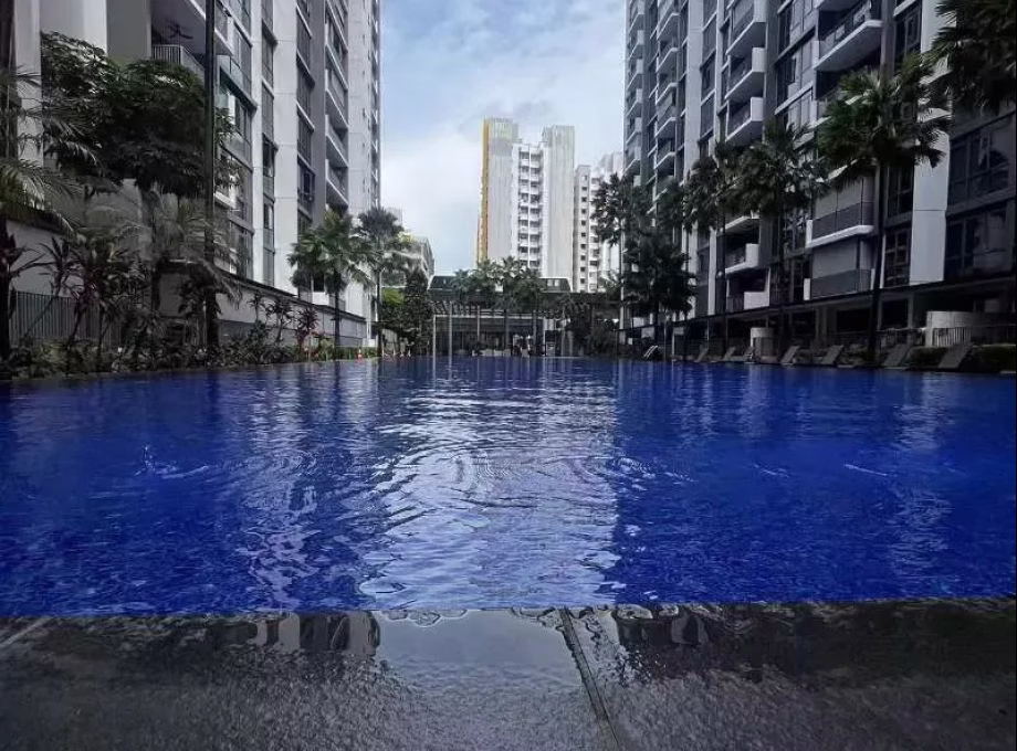 整套出租 • 碧山 •  La Fiesta • S$3700 • 住宅公寓 •  照片