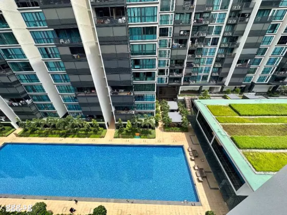 单间出租 • 西部集水区 •  Treasure At Tampines • S$1900 • 住宅公寓 • 主人房 照片