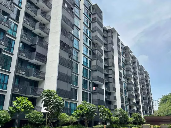 单间出租 • 西部集水区 •  Treasure At Tampines • S$1900 • 住宅公寓 • 主人房 照片