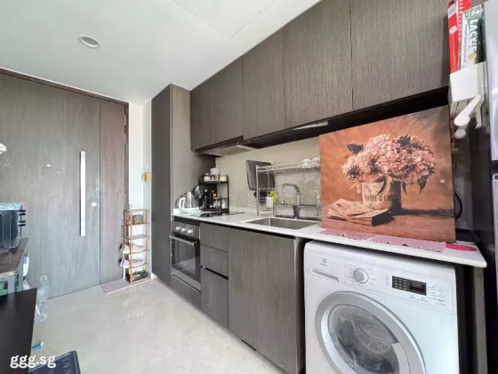 房屋出售 • 市中心 •  Thomson Impressions • S$1100000 • 住宅公寓 • 463ft² / 43m² 照片