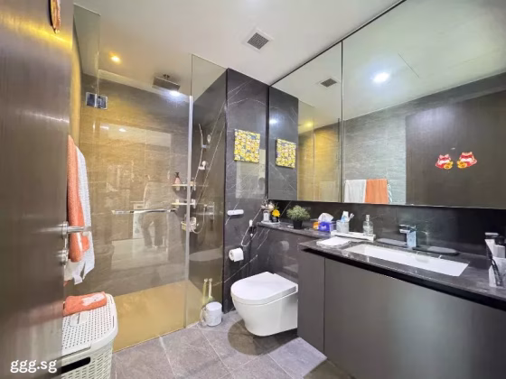 房屋出售 • 市中心 •  Thomson Impressions • S$1100000 • 住宅公寓 • 463ft² / 43m² 照片