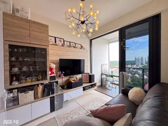 房屋出售 • 市中心 •  Thomson Impressions • S$1100000 • 住宅公寓 • 463ft² / 43m² 照片