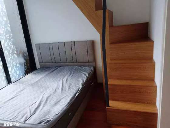 整套出租 • 博物馆 •  Uptown @ Farrer • S$5500 • 住宅公寓 • 861ft² / 79m² 照片