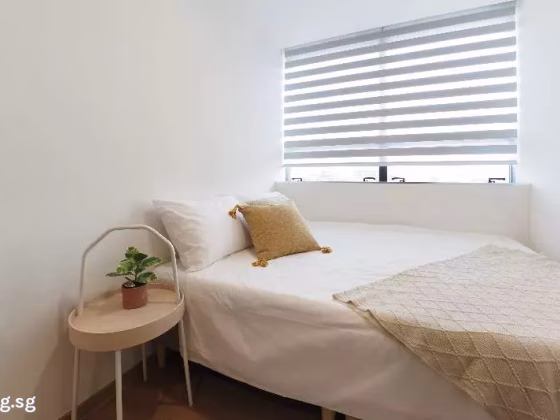 单间出租 • 欧南 • ALJUNIED ROAD (389801) • S$1500 • 服务式公寓 • 普通房 照片
