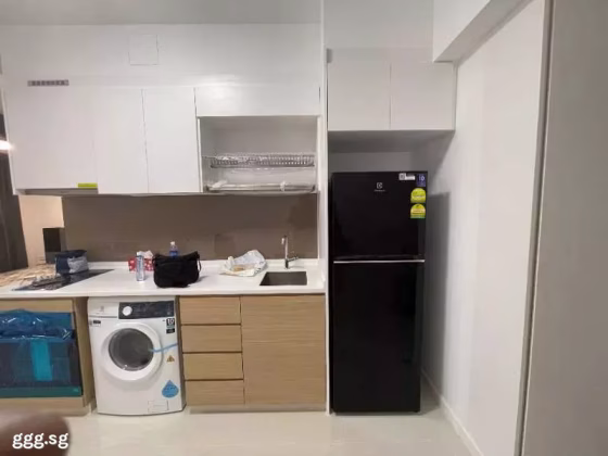 整套出租 • 西部集水区 •  Treasure At Tampines • S$2700 • 2房(1臥室) • 463ft² / 43m² 照片