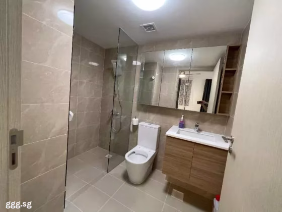 整套出租 • 西部集水区 •  Treasure At Tampines • S$2700 • 2房(1臥室) • 463ft² / 43m² 照片