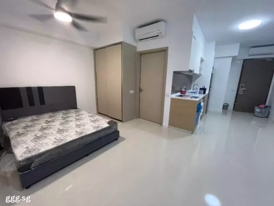 整套出租 • 西部集水区 •  Treasure At Tampines • S$2700 • 2房(1臥室) • 463ft² / 43m² 照片