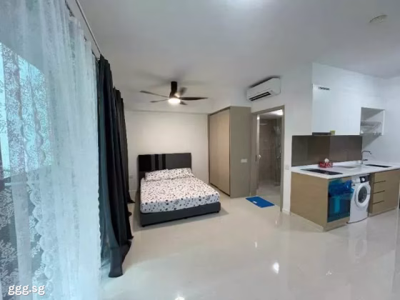整套出租 • 西部集水区 •  Treasure At Tampines • S$2700 • 2房(1臥室) • 463ft² / 43m² 照片