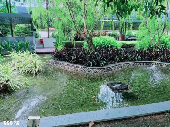 单间出租 • 林厝港 •  The Lakefront Residences • S$1600 • 4房(3臥室) • 普通房 照片