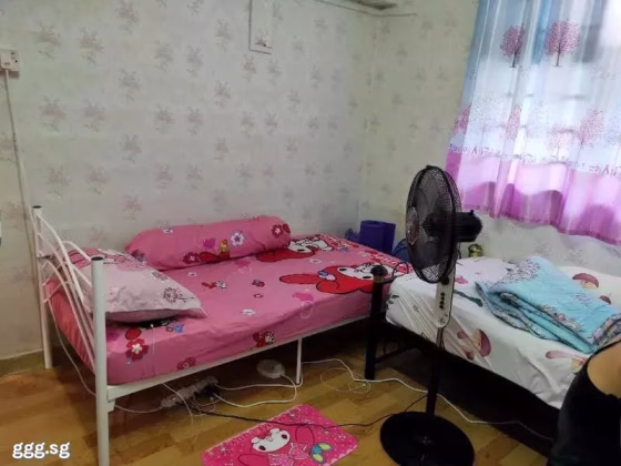 单间出租 • 欧南 • 40 Circuit Road • S$600 • 3房(2臥室) • 床位出租 照片