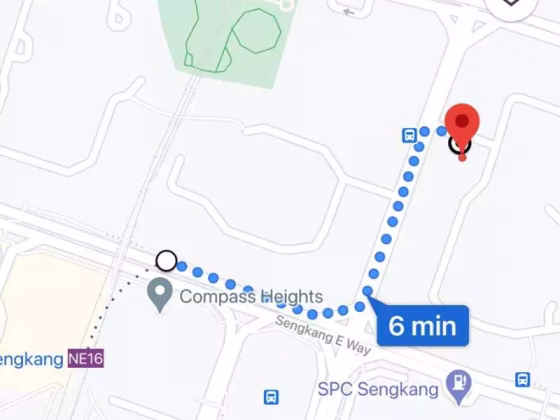 单间出租 • 碧山 • 244 Compassvale Road • S$699 • 3房(2臥室) • 主人房 照片