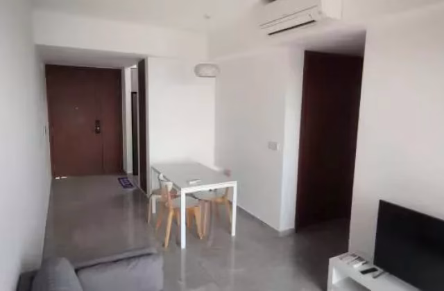 整套出租 • 蔡厝港 •  Stirling Residences • S$4500 • 住宅公寓 • 635ft² / 58m²