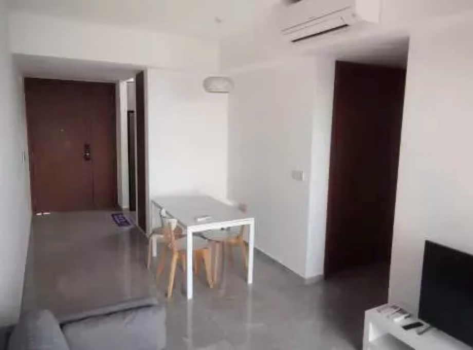 整套出租 • 蔡厝港 •  Stirling Residences • S$4500 • 住宅公寓 • 635ft² / 58m² 照片