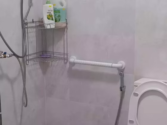 单间出租 • 市中心 • 278 Bishan Street 24 • S$1500 • 4房(3臥室) • 主人房 照片