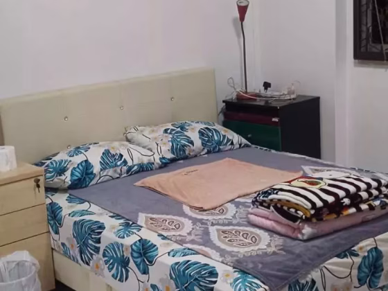 单间出租 • 市中心 • 278 Bishan Street 24 • S$1500 • 4房(3臥室) • 主人房 照片