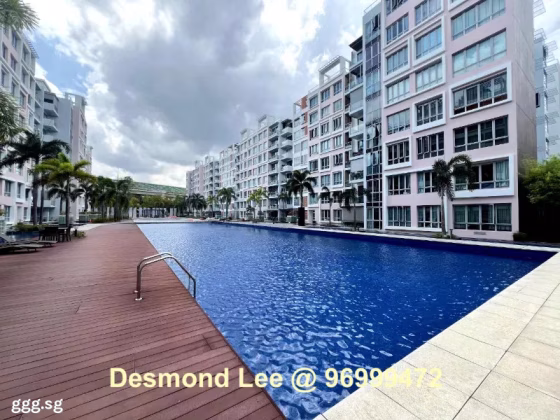 整套出租 • 宏茂桥 •  Ferraria Park Condominium • S$4500 • 共管公寓 • 1356ft² / 125m² 照片