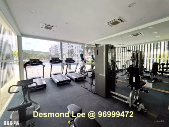 整套出租 • 宏茂桥 •  Ferraria Park Condominium • S$4500 • 共管公寓 • 1356ft² / 125m² 照片